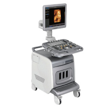 PT400 4D Color Doppler